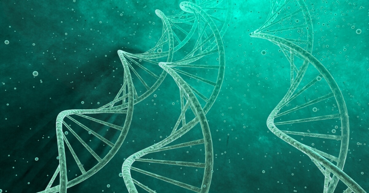 Установление отцовства ДНК